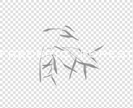 Fforest Intro 02   Sketch  HD Png DownloadTransparent PNG