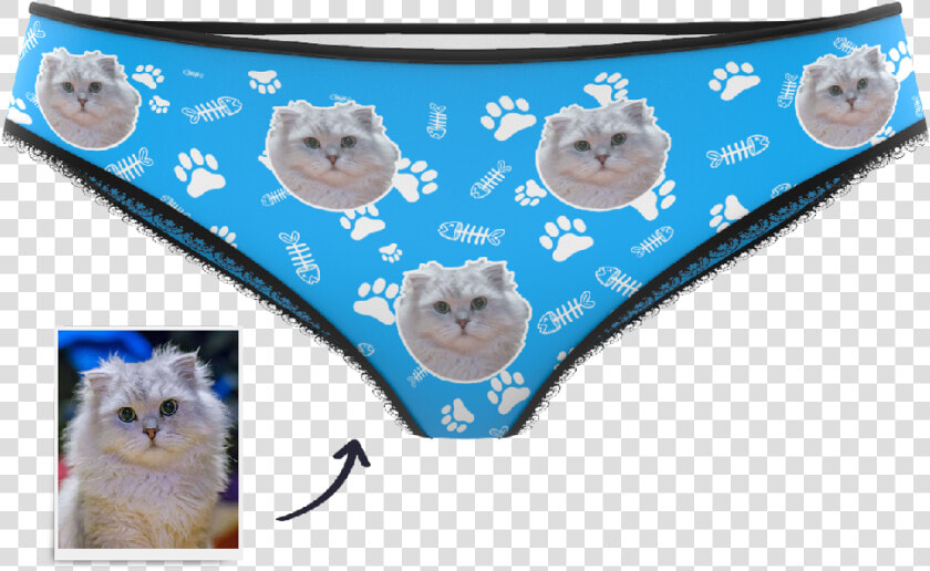 Panties Png  Transparent PngTransparent PNG