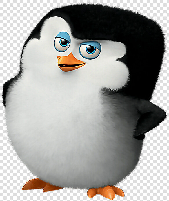  madagascar  penguins  cute   Lies Always Come Back  HD Png DownloadTransparent PNG