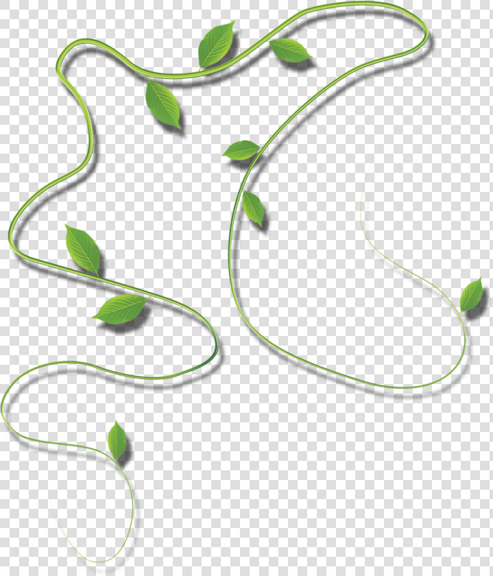 Clipart Leaves Cartoon Vine   Portable Network Graphics  HD Png DownloadTransparent PNG