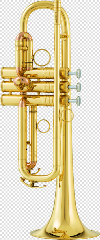 Transparent Trumpets Png   Trumpet  Png DownloadTransparent PNG