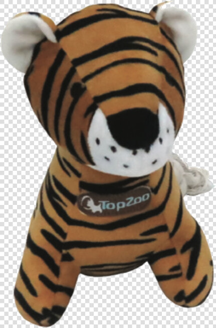 Tigre Png  Transparent PngTransparent PNG