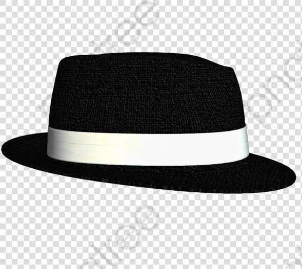 Broad Brimmed White Rim   Chapéu Preto E Branco  HD Png DownloadTransparent PNG