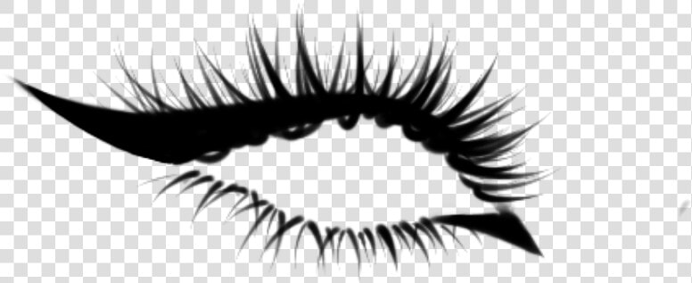 Lashes Procreate Png  Transparent PngTransparent PNG