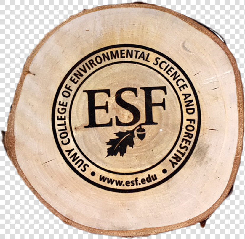 Wood Discs   State University Of New York College Of Environmental  HD Png DownloadTransparent PNG