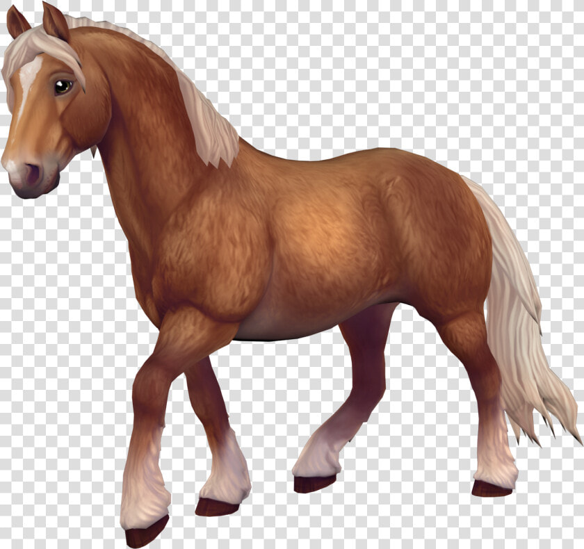 North Swedish Horse Sso  HD Png DownloadTransparent PNG