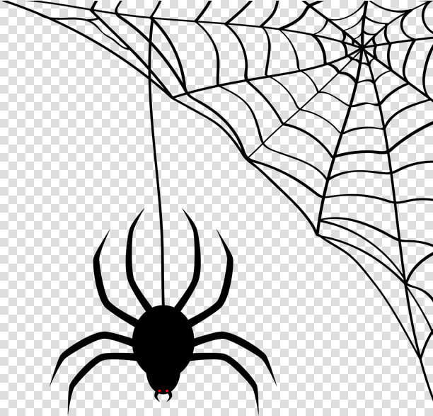 Spider  Network  Cobweb  Halloween  Silhouette  Black   Transparent Background Spider Web Clipart  HD Png DownloadTransparent PNG