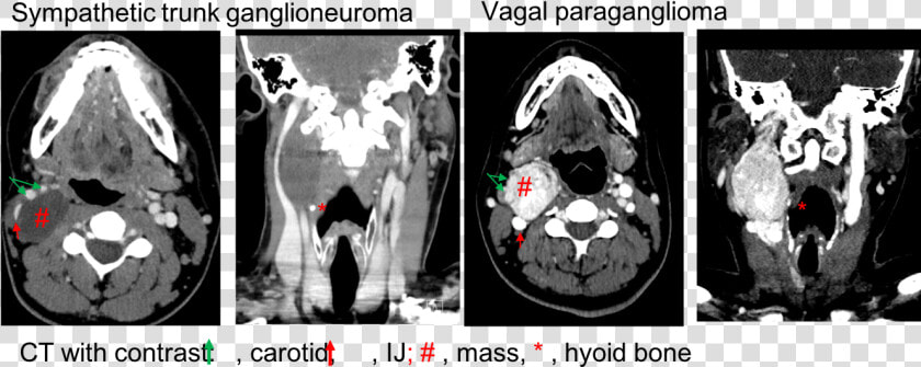 Radiology  HD Png DownloadTransparent PNG