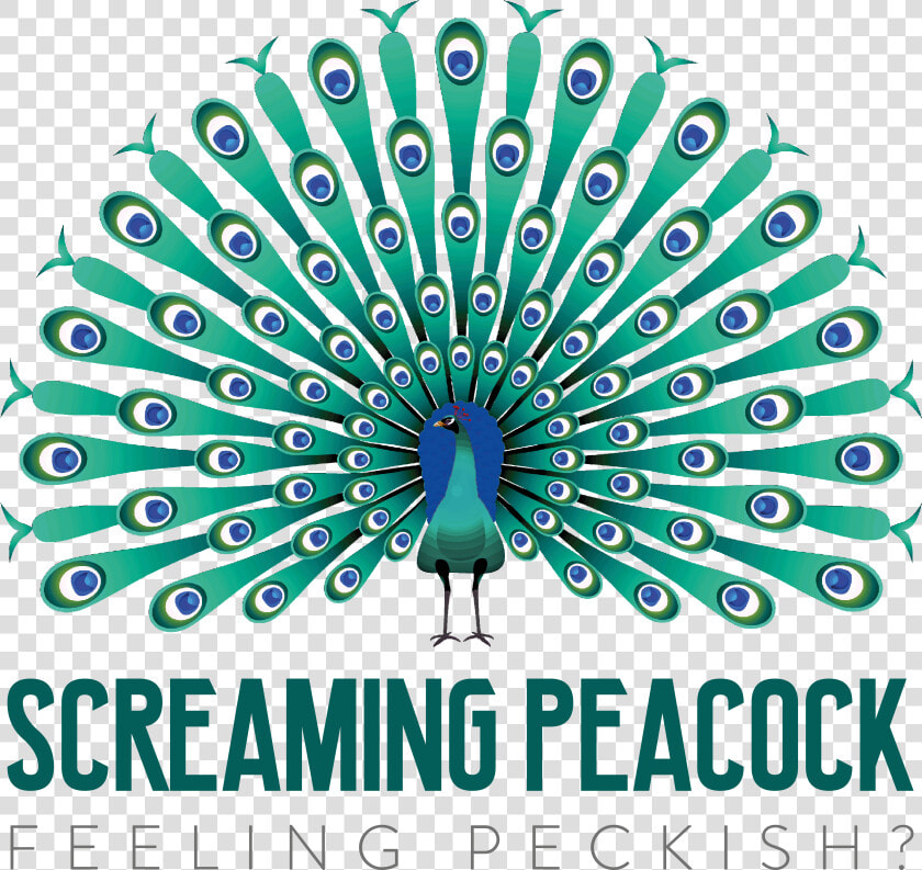 Screaming Peacock   Png Peacock Drawing Vector  Transparent PngTransparent PNG