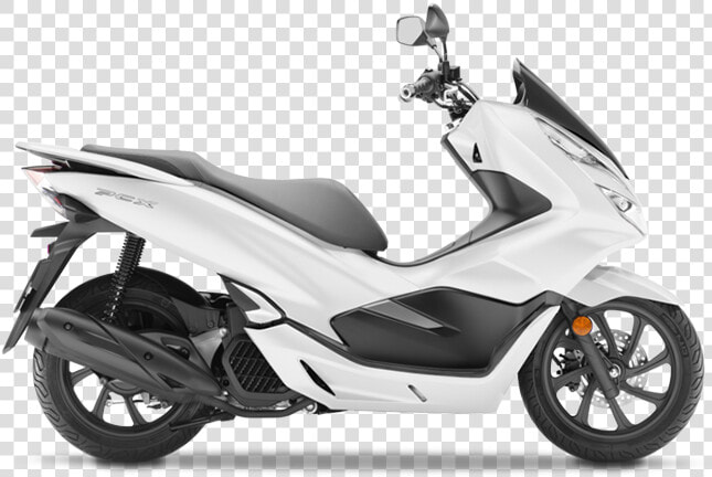 19 Plate Pcx White  HD Png DownloadTransparent PNG