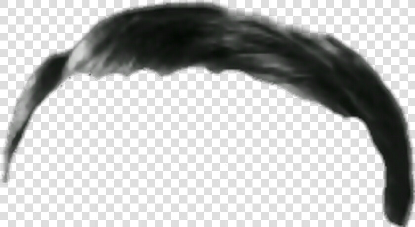  hair  hitler   Headpiece   Adolf Hitler Saçı Png  Transparent PngTransparent PNG