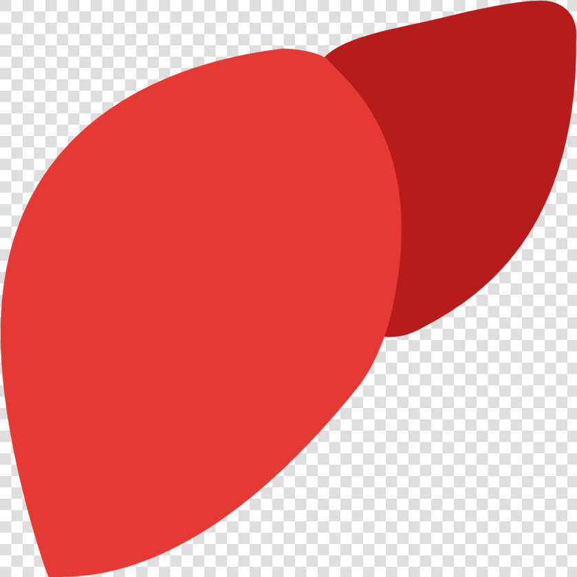 Facebook Icon Png Download   Liver With No Background  Transparent PngTransparent PNG