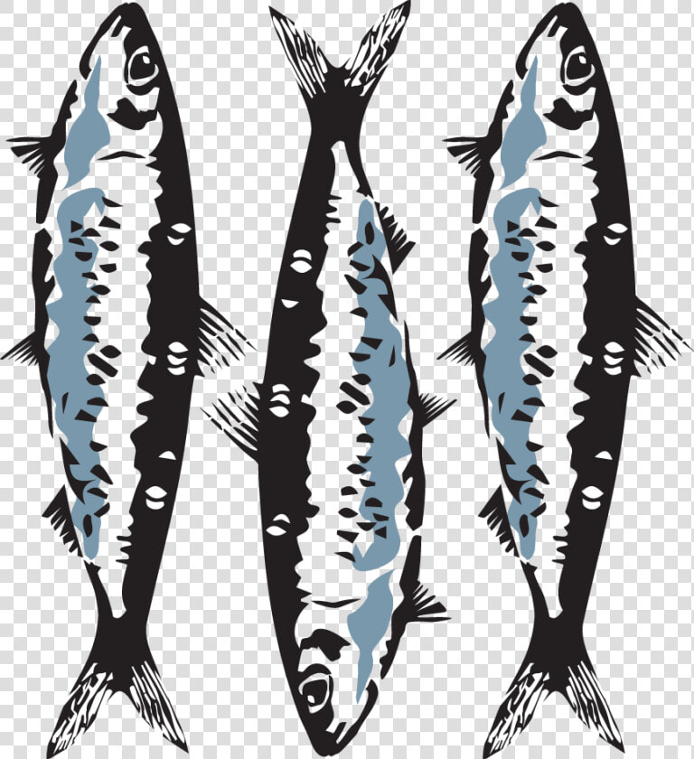 Sardine   Marine Mammal  HD Png DownloadTransparent PNG