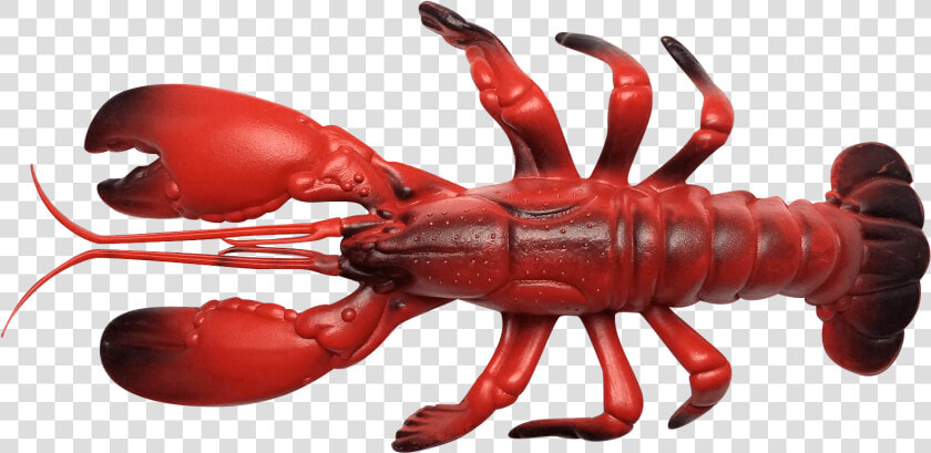 Olhzn Space Lobster   American Lobster  HD Png DownloadTransparent PNG