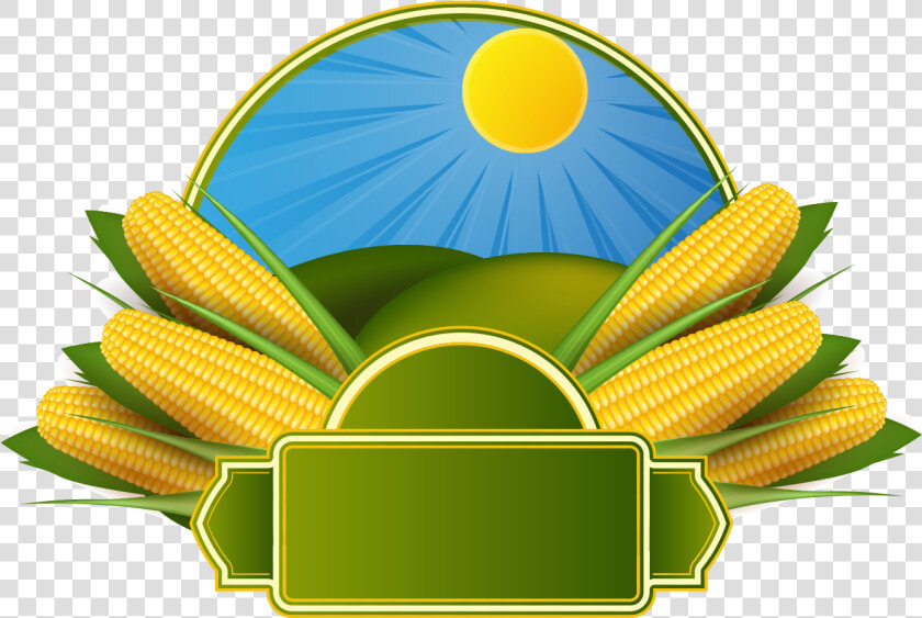 Corn On The Cob Maize Corncob Clip Art   Corn Background Design  HD Png DownloadTransparent PNG