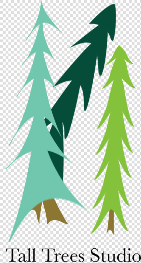 Tall Trees Studio   Christmas Tree  HD Png DownloadTransparent PNG