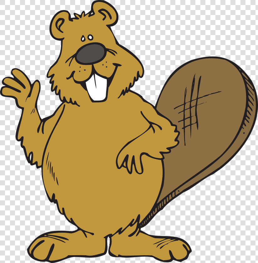 Download And Use Beaver Png Image   Clipart Beaver  Transparent PngTransparent PNG