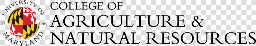 College Of Agriculture And Natural Resources   Calligraphy  HD Png DownloadTransparent PNG