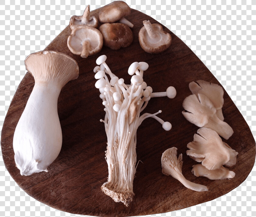 A Selection Of Sainsbury S Exotic Mushrooms Presented   Wood  HD Png DownloadTransparent PNG