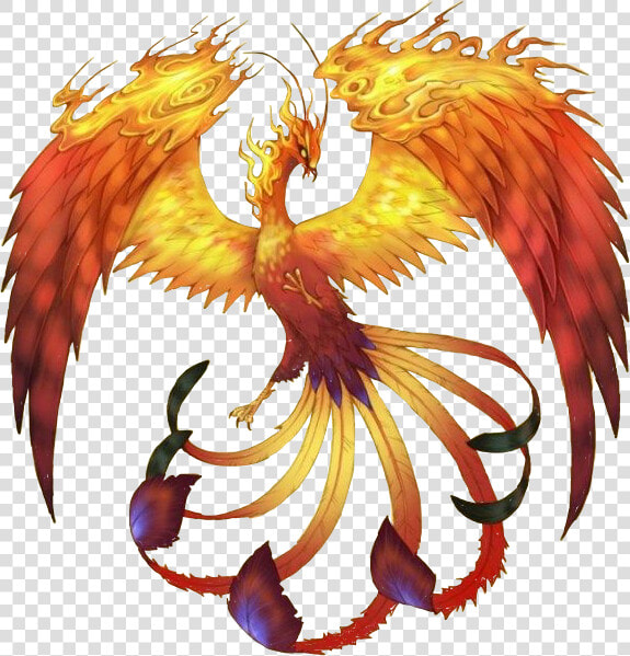  fire  bird  firebird  flame  redbird  phoenix  firephoenix   Phoenix Mythical Creatures Drawing  HD Png DownloadTransparent PNG