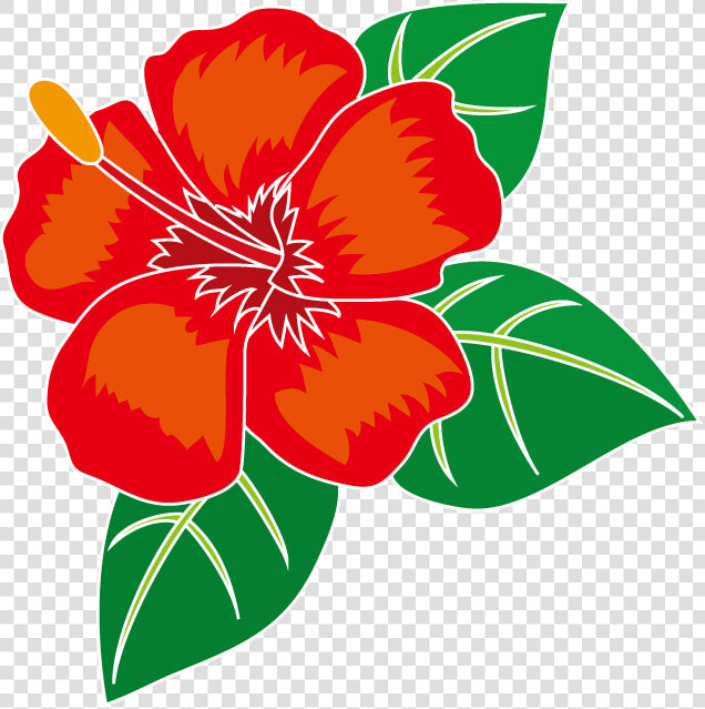 Transparent Free Hibiscus Flower Clipart   ハワイ 花 イラスト  HD Png DownloadTransparent PNG