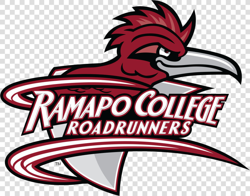 Roadrunner Basketball Clipart   Ramapo College Roadrunners  HD Png DownloadTransparent PNG