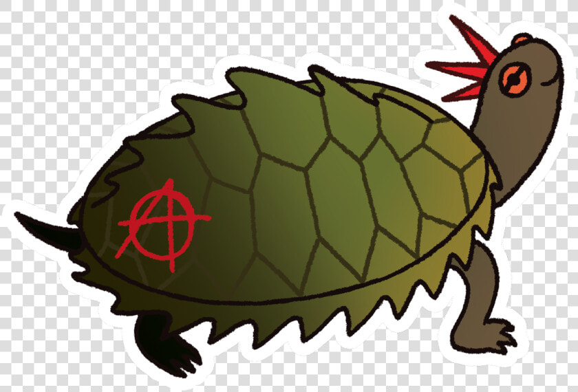 Transparent Cute Turtle Png   Desert Tortoise  Png DownloadTransparent PNG