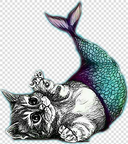 Transparent Catfish Clipart   Mermaid Cat Drawing  HD Png DownloadTransparent PNG