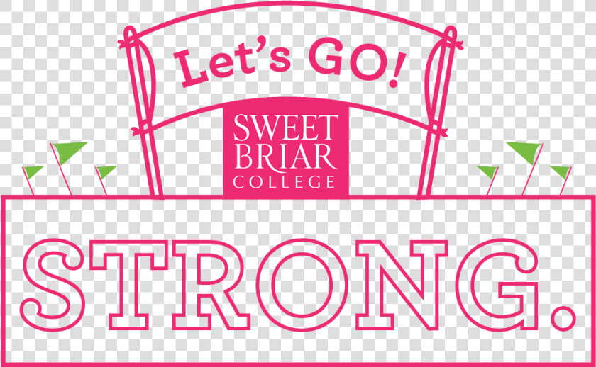 Snapchat   Png Download   Sweet Briar College  Transparent PngTransparent PNG