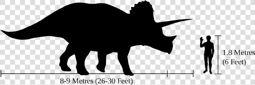 Triceratops Information  HD Png DownloadTransparent PNG