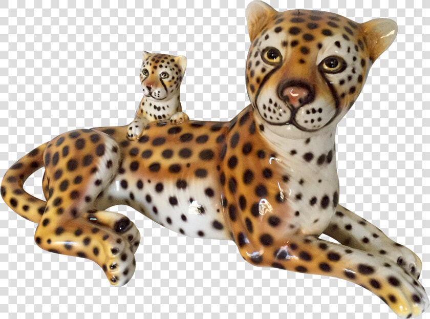 Jaguar Clipart Cheetah Cub   Cheetah  HD Png DownloadTransparent PNG