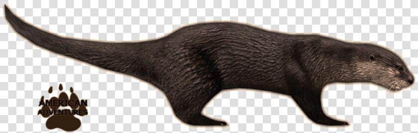 Otter Png Background Image   Zoo Tycoon 2 Otter  Transparent PngTransparent PNG