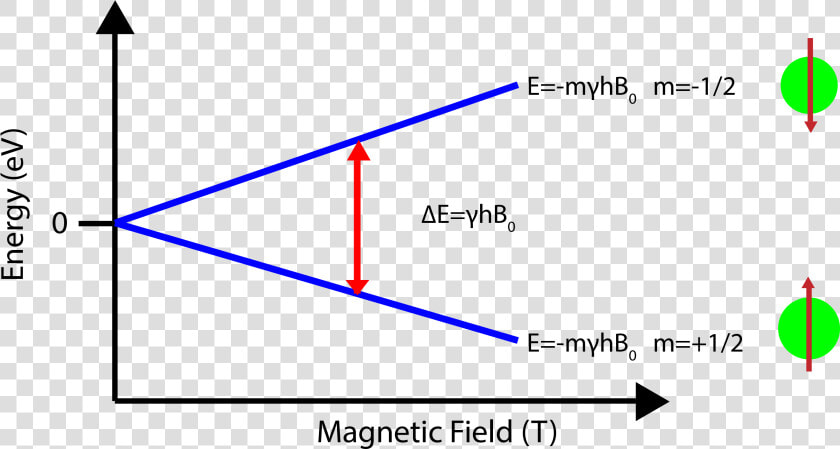 Zeeman Energy Level  HD Png DownloadTransparent PNG