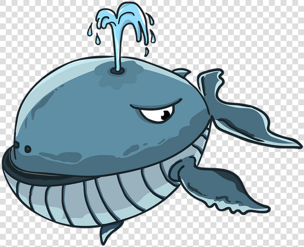 Whale Spout Animation  HD Png DownloadTransparent PNG