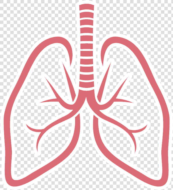 Gifs Y Fondos Paz   Lungs Clipart  HD Png DownloadTransparent PNG