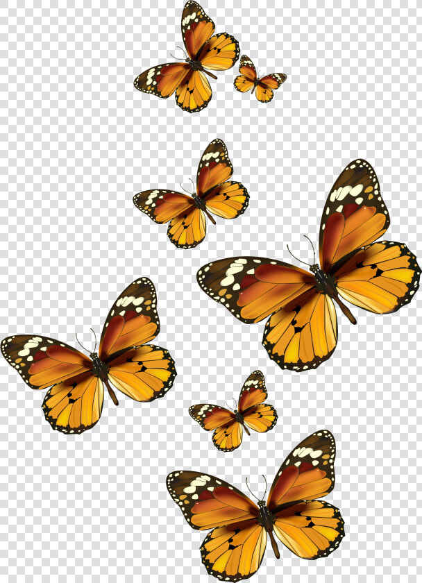 Butterflies Vector Png Clipart Pictureu200b Gallery   Painted Lady Butterfly Clip Art  Transparent PngTransparent PNG