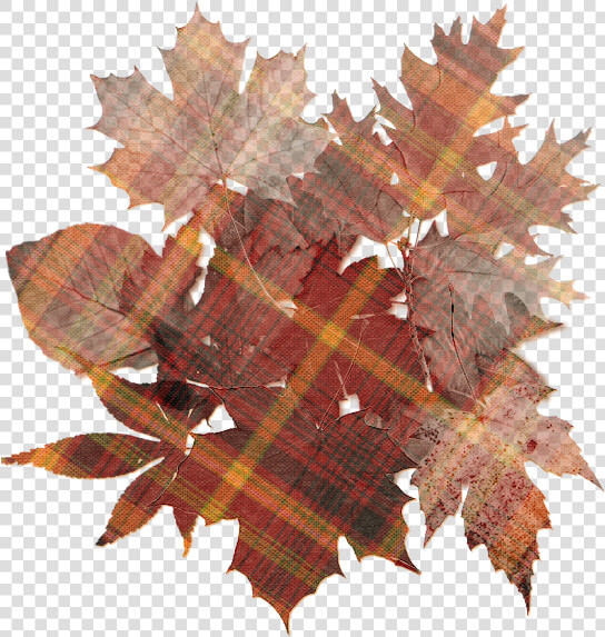 Autumn Colors   Orange Vintage Autumn Png  Transparent PngTransparent PNG