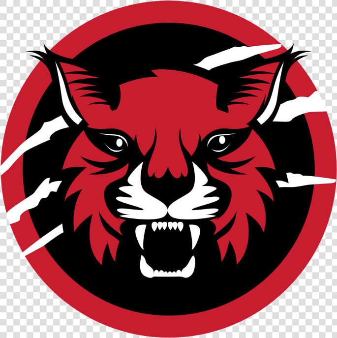 Wildcat Tech Ventures Llc Logo  HD Png DownloadTransparent PNG