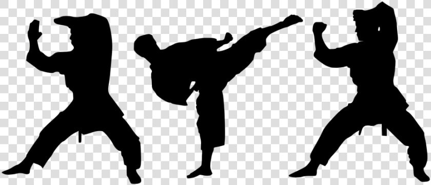 Karate Silhouette Png Hd Image   Karate Png  Transparent PngTransparent PNG