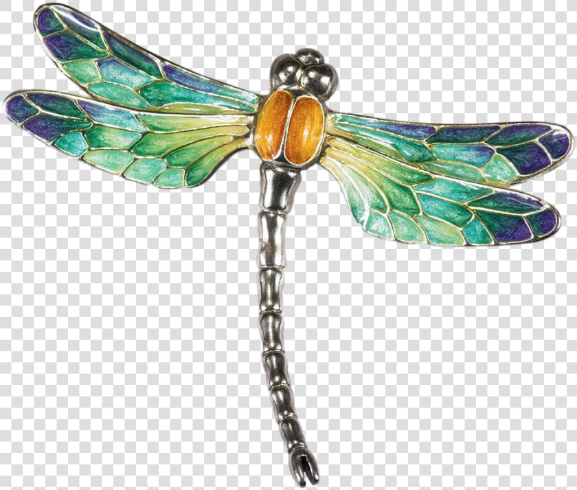 Dragonfly Png   Transparent Background Transparent Dragonfly  Png DownloadTransparent PNG