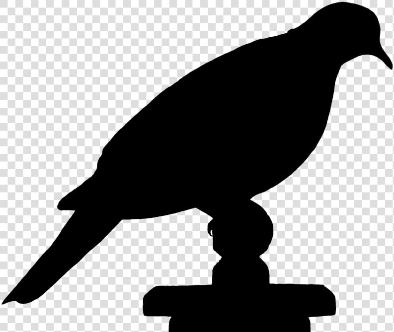 Dove Bird Silhouette   Siluet Burung  HD Png DownloadTransparent PNG