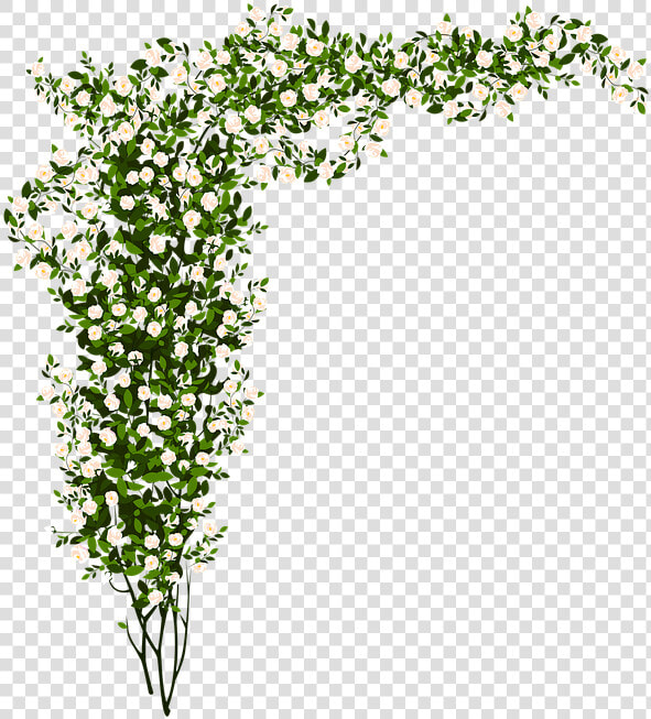 Arrangement Flowers Green Small Flower   Green And White Flowers Png  Transparent PngTransparent PNG