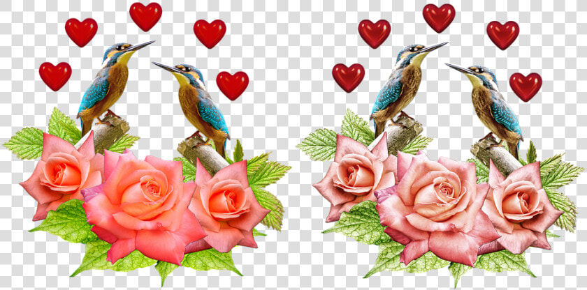 Kingfisher  Roses  Heart  Isolated  Cut Out   Garden Roses  HD Png DownloadTransparent PNG