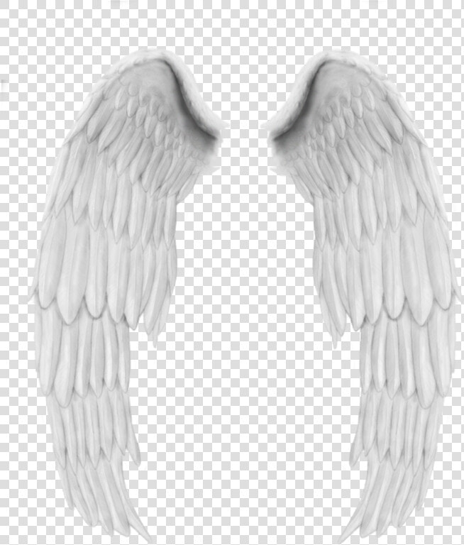 Alas De Angel Png  Transparent PngTransparent PNG