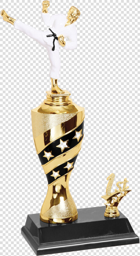 Trophy  Hd Png Download   Martial Arts Trophies Transparent  Png DownloadTransparent PNG