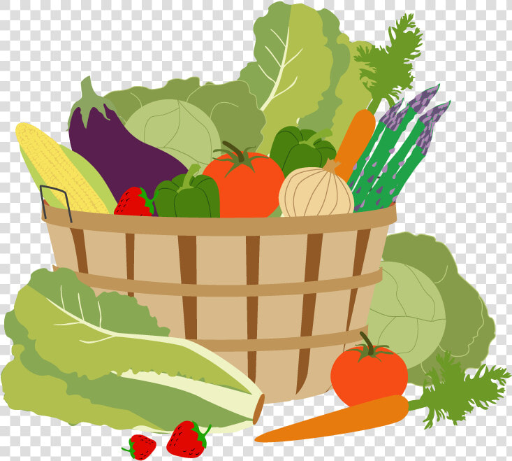 Garden Vector Vegetable   Vegetable Garden Png Clipart  Transparent PngTransparent PNG