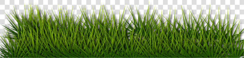 Background Border Grass Green Herb Landscape   Green Floor Png Grass  Transparent PngTransparent PNG