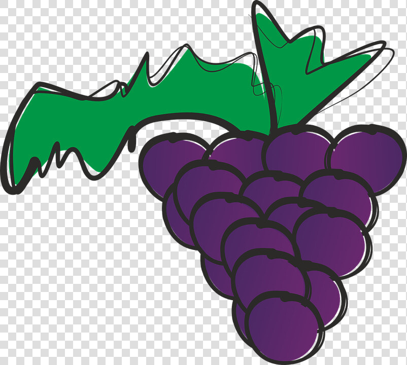 Bunch Of Grapes  Grapes  Fruit  Tropical Fruit   Grape  HD Png DownloadTransparent PNG