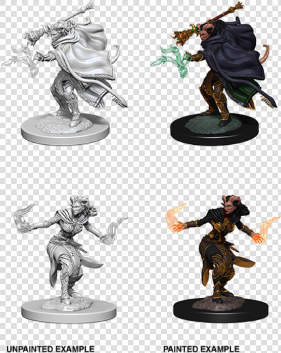 Wzk73389 Female Tiefling Warlock  4   Nolzur  39 s Marvelous Miniatures Tiefling Warlock  HD Png DownloadTransparent PNG