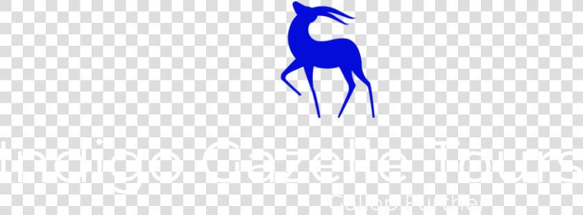 Gazelle Png  Transparent PngTransparent PNG